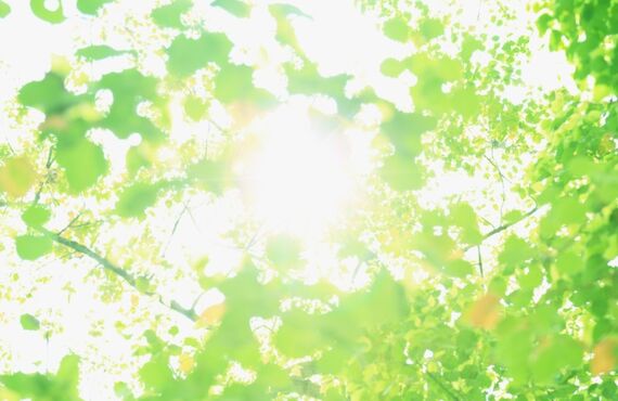 いなべ市で洗面所の修理改装をお考えの方は、みとや殖産へお電話を！